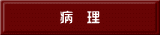 病　理 